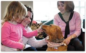 images  Pet Therapy Dog 2