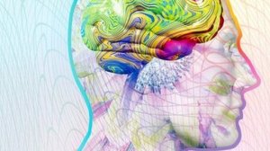 _71213886_m2600424-synaesthesia,_computer_artwork-spl